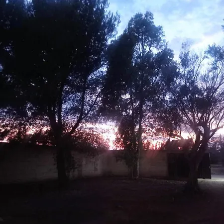 Alfea בית הארחה