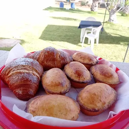 בית הארחה Alfea