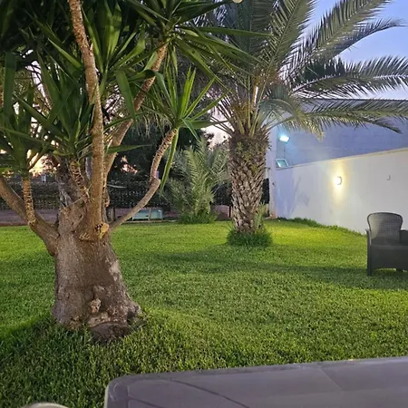 בית הארחה Alfea