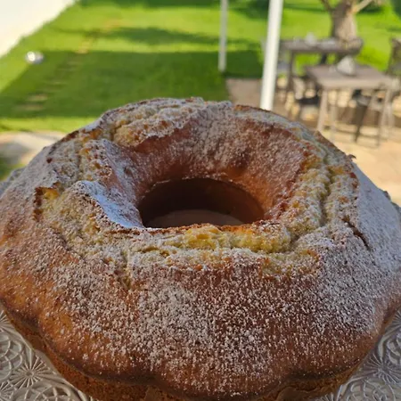 בית הארחה Alfea